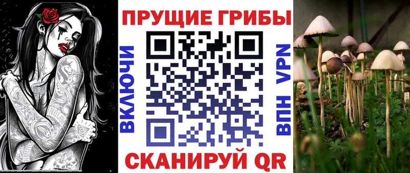Галлюциногенные грибы ЛСД  Себеж 